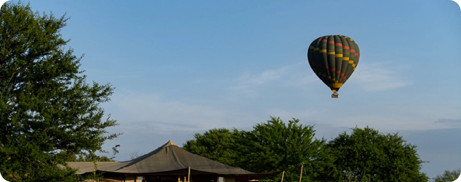 A hot air balloon soars above a camp