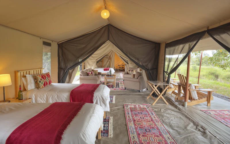 Asilia-Ol-Pejeta-Bush Camp - Family Room - Twin set-up with view into lounge and main bedroom