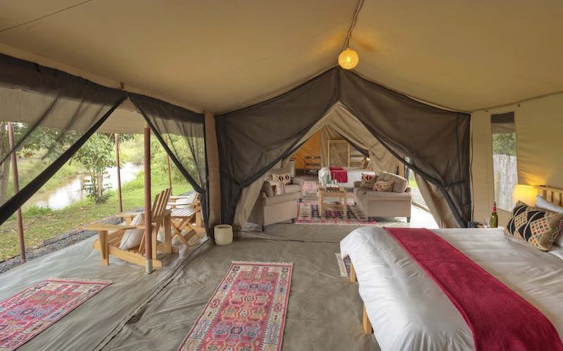 Asilia Ol Pejeta Bush Camp - Family tent layout - main room, lounge, twin set up