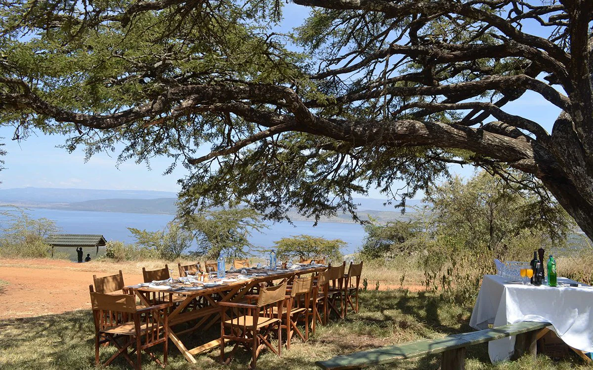 A large table is set under a tree for a delicious meal served out in the bush