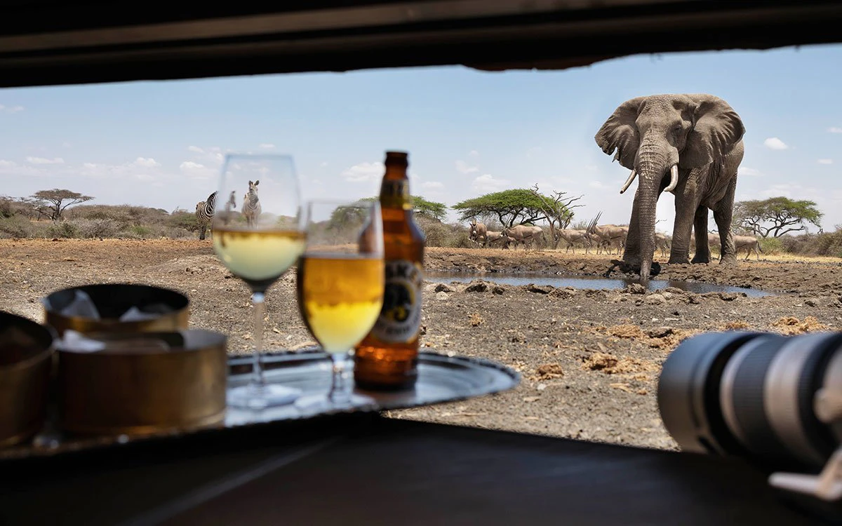 A first person perspective from the sunken hide at ol Donyo Lodge with drinks balanced on the counter and an elephant in the background