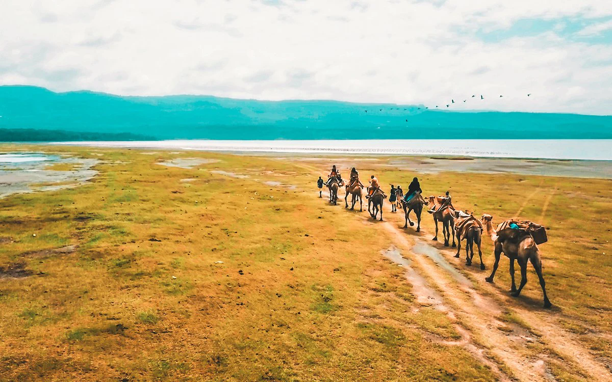 A camel riding safari along the shores of Lake Nakuru with the mountains in the background