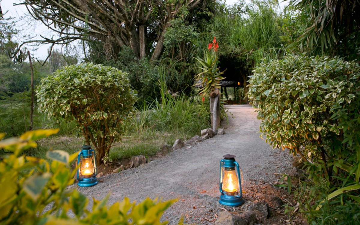 Two lamps light up the pathway leading to the entrance to Mbweha Camp