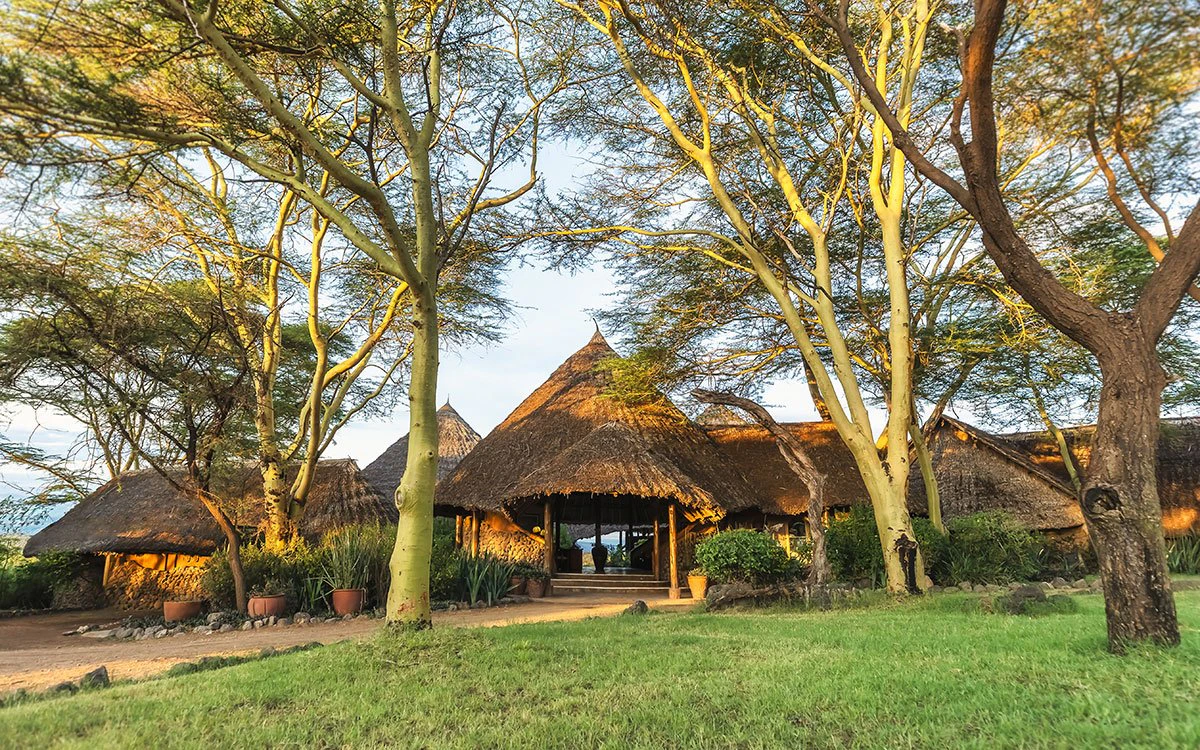 Exterior view of the reception area at Tortilis Camp