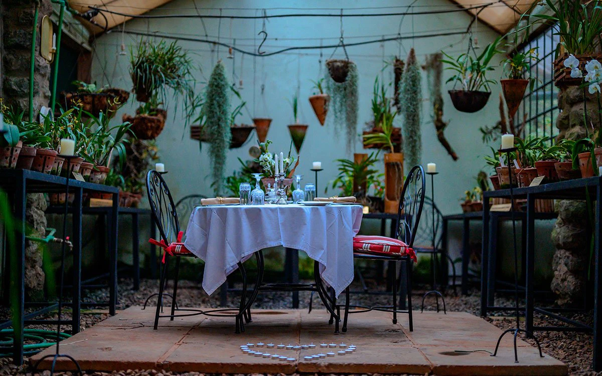 A table set for dinner in a unique room filled with hanging plants