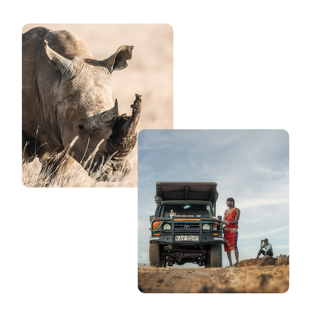 A rhino with a bird perched on its horn and a safari vehicle with a Maasai guide A rhino with a bird perched on its horn and a safari vehicle with a Maasai guide