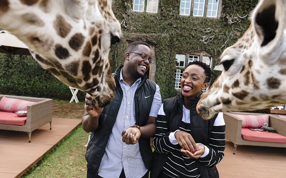 Two guests enjoy feeding the giraffes at Giraffe Manor