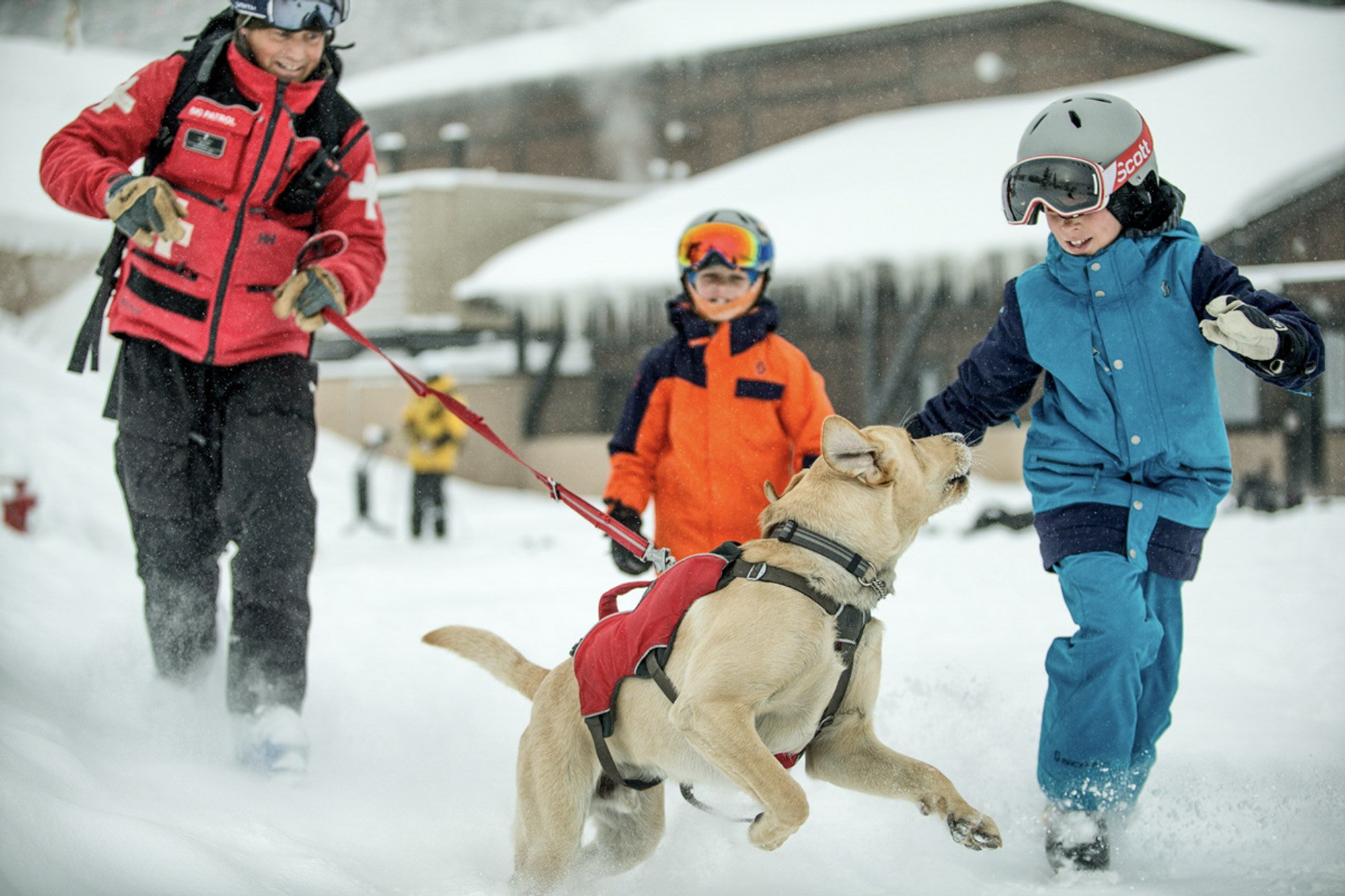 Vail ski patrol professional with rescue dog, ensuring the safety and well-being of skiers.