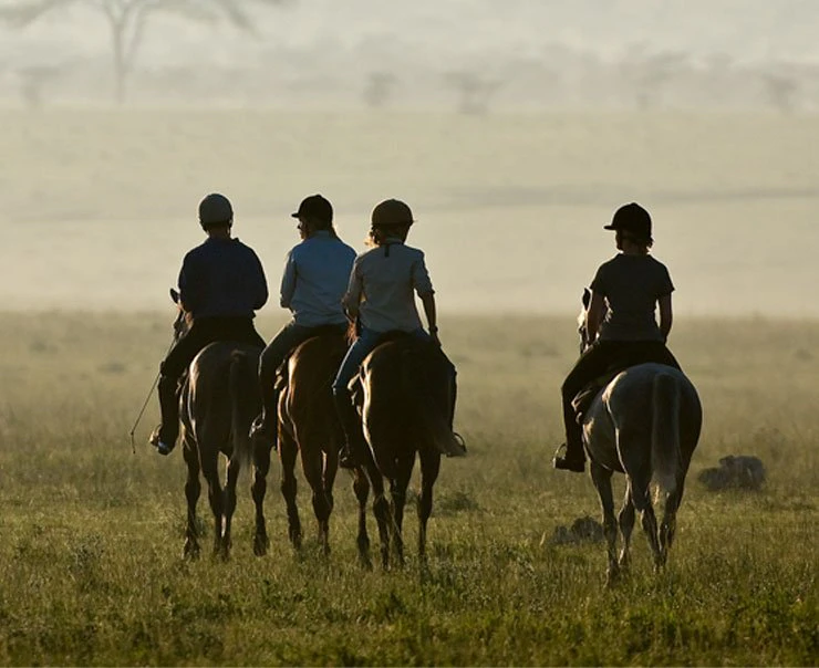 A group of guests head out on horseback for a riding safari A group of guests head out on horseback for a riding safari