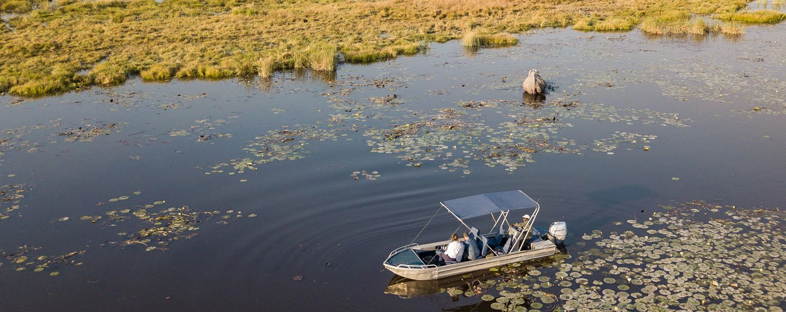 A pair of guests head out fishing on the river as an elephant crosses behind them