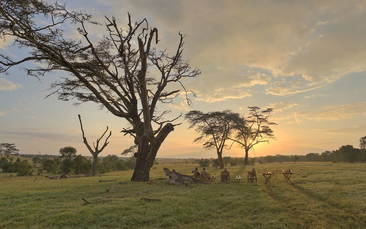 The sun sets behind the trees at Ol Pejeta as guests enjoy a drink