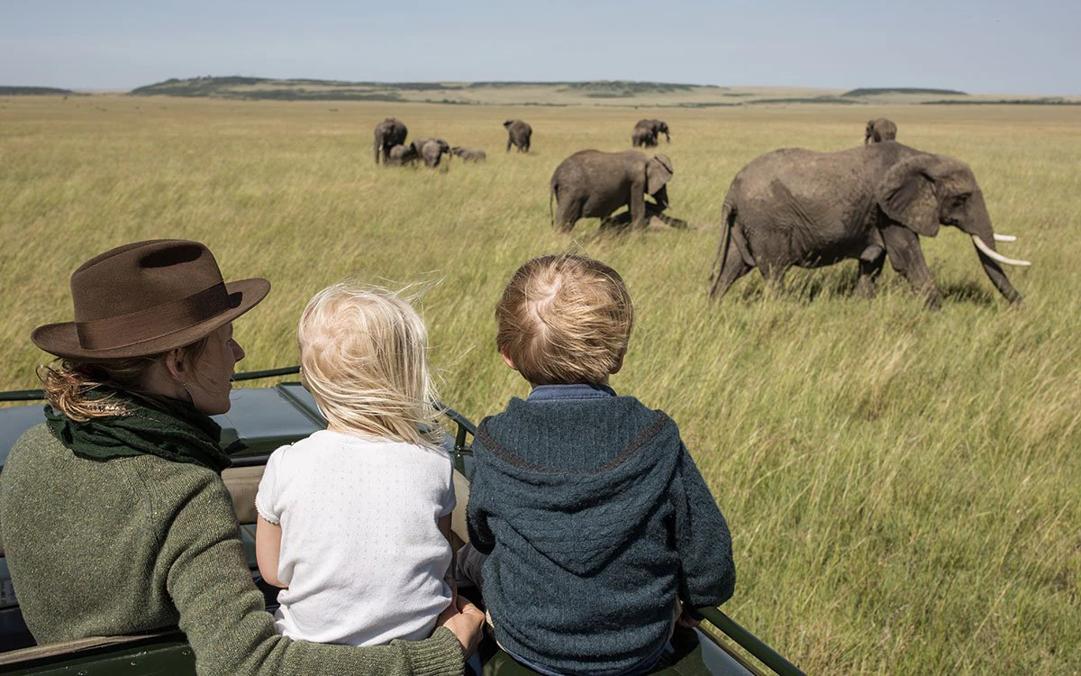 A family enjoy a game drive as they observe a herd of elephants