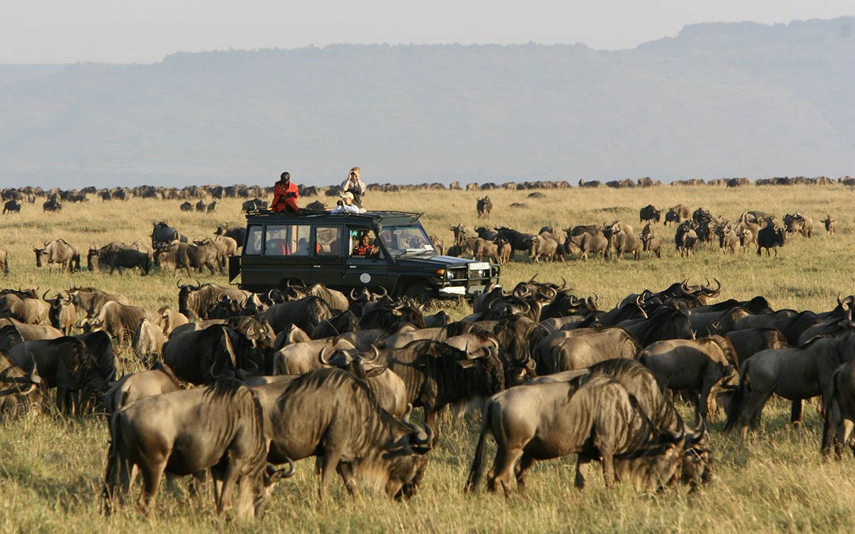 A group of Rekero Camp guests on safari in the midst of a great herd of wildebeest
