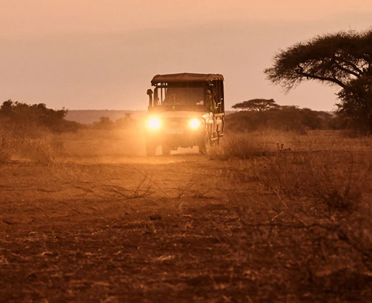 A safari vehicle begins its night time drive with its headlights on