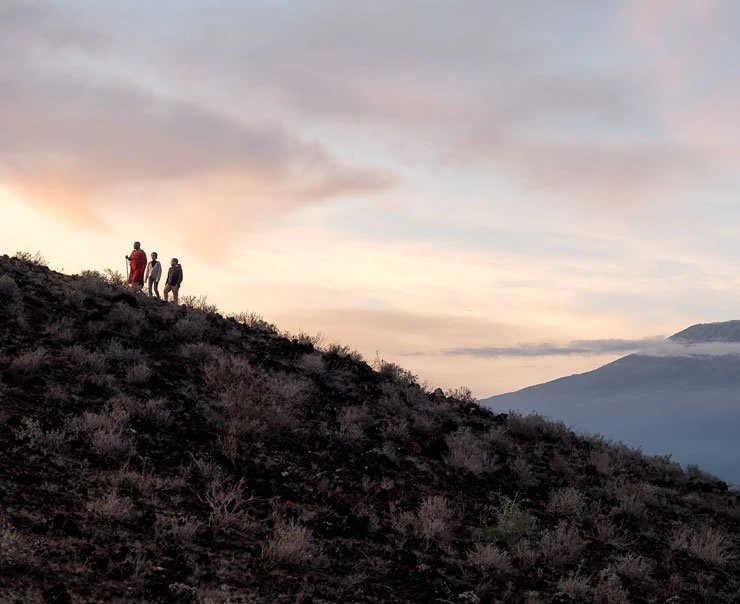 safari-mountain-hikes-v1