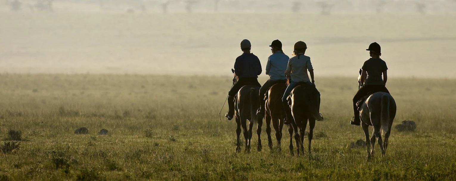 A group of guests enjoy a unique horseback riding experience A group of guests enjoy a unique horseback riding experience