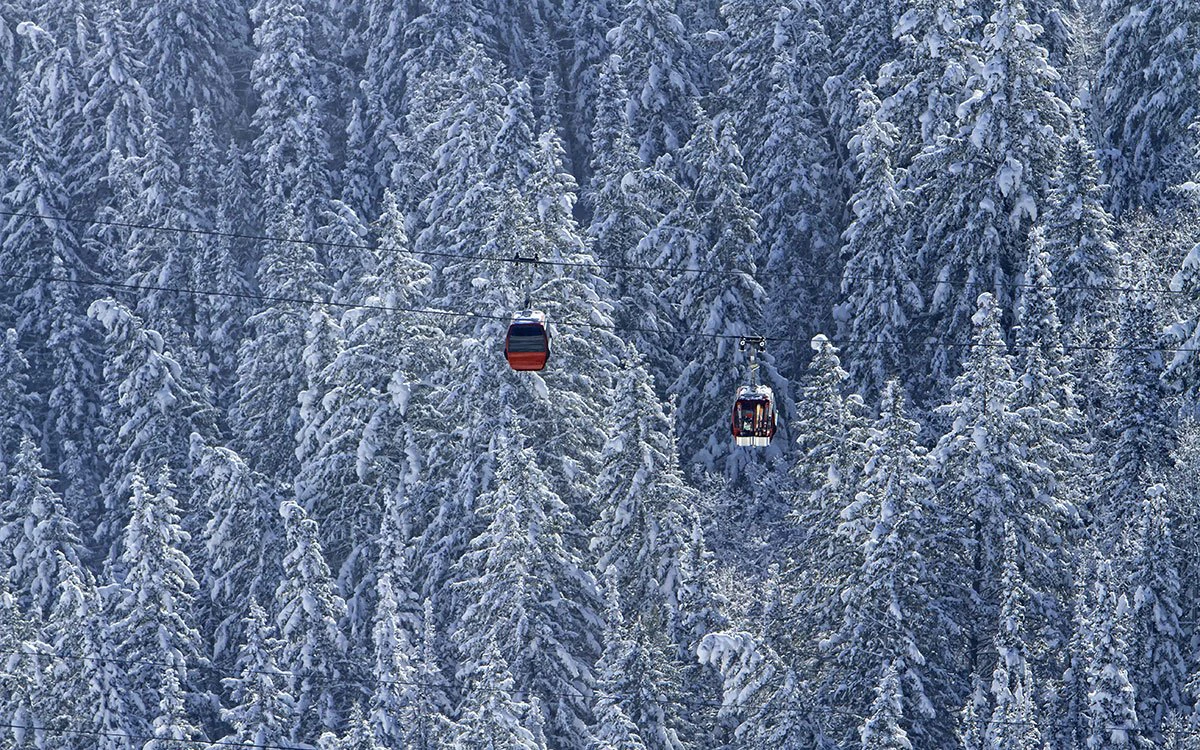 The Park City gondola makes its journey, surrounded with beautiful snow covered trees.
