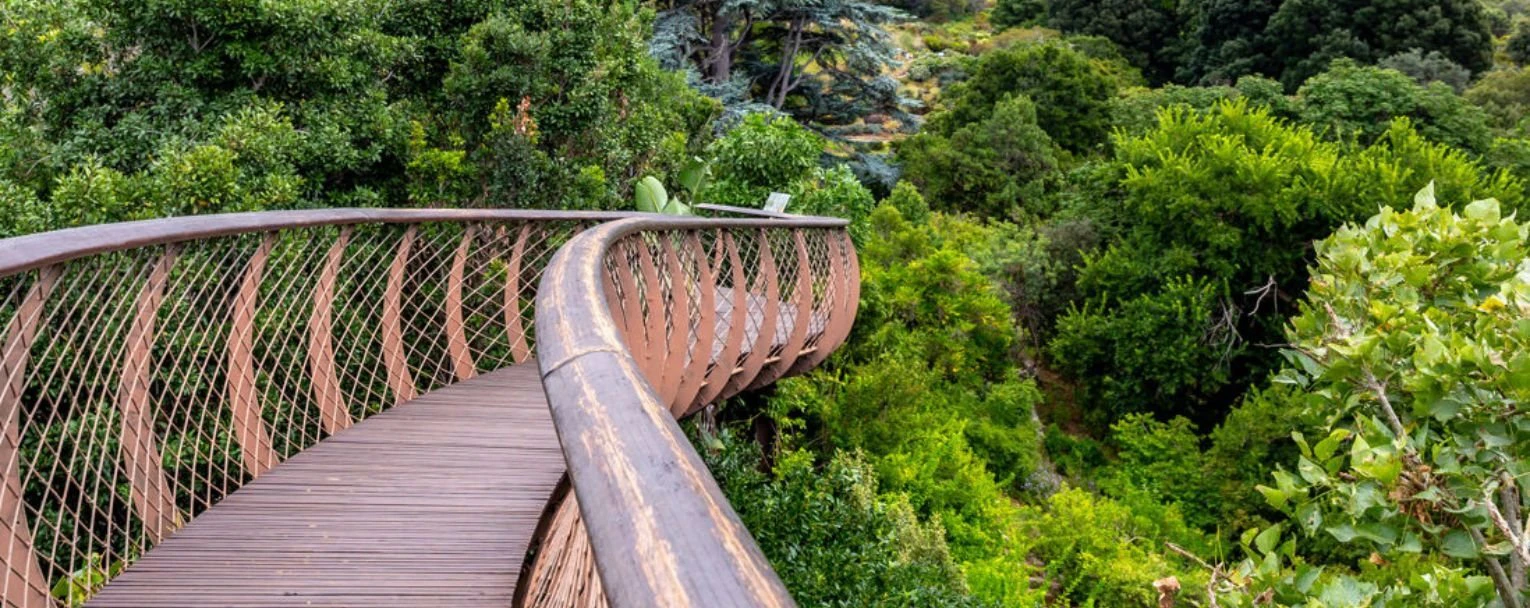 Cape Town Safari Experiences Rectangle – Kirstenbosch_National_Botanical_Garden