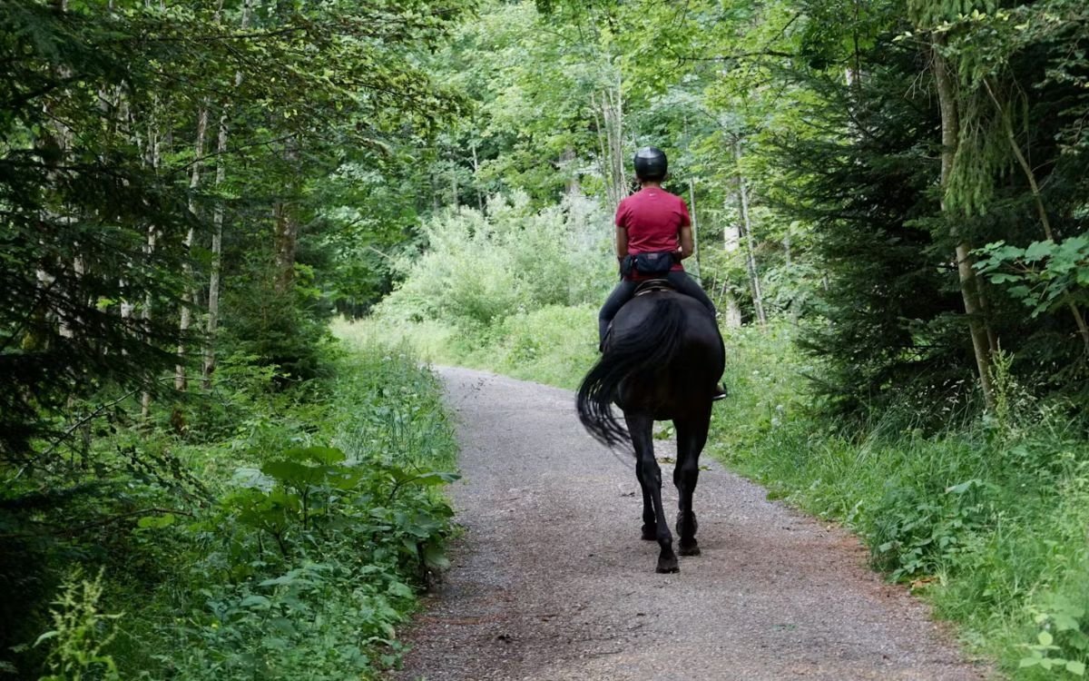A single horseback rider trots along one a path near Deer Valley.