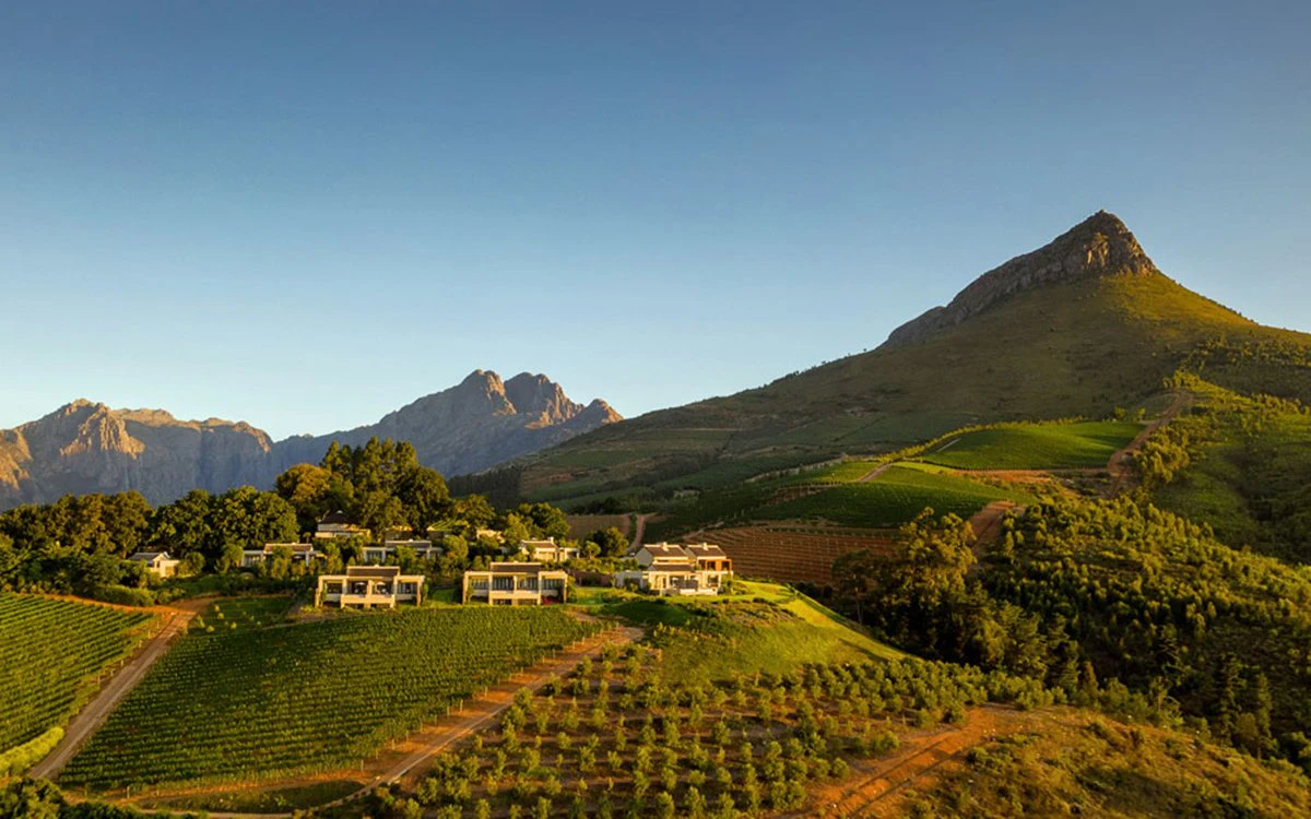winelands_delaire_graff_overview_gallery_1image