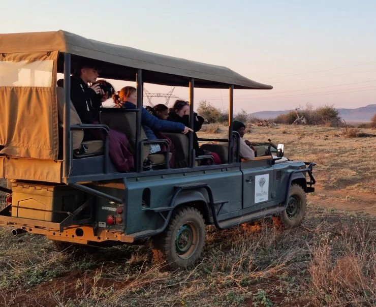 Madikwe square template – madikwe-experiences-photography-trips-square