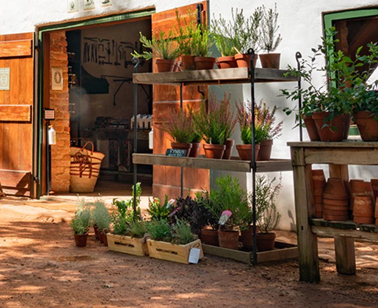 winelands-experiences-themed-workshops-square