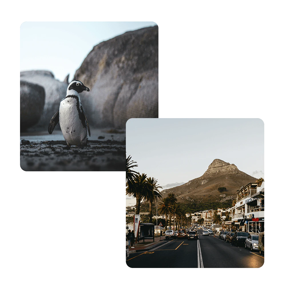 12-apostles-safari-pic-combo