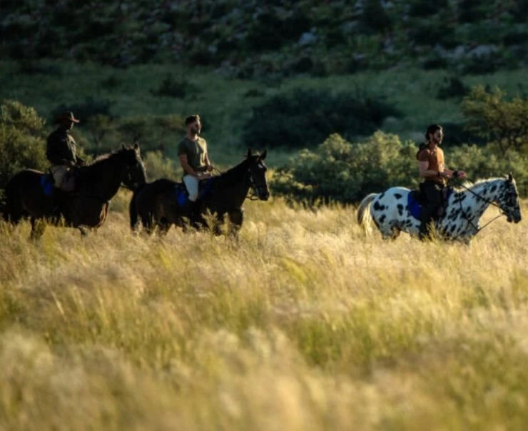 Tswalu Experiences Square – tswalu-experiences-horseback-riding-square