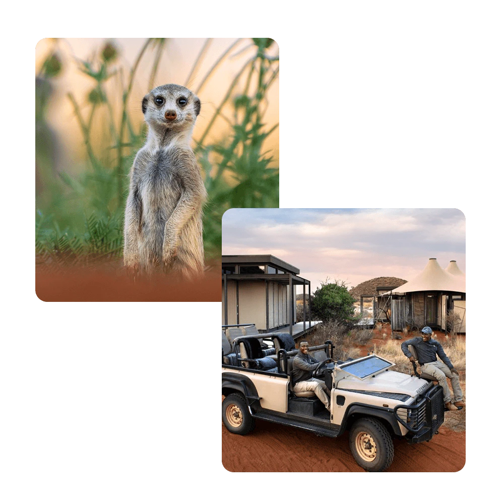 ttw-tswalu-safari-pic-combo