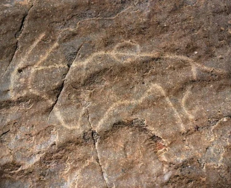 Tswalu Experiences Square – tswalu-experiences-ancient-rock-engraving-square
