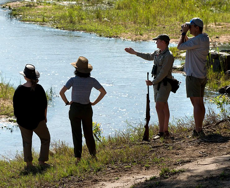 sabi-sands-experiences-walking-safari-square