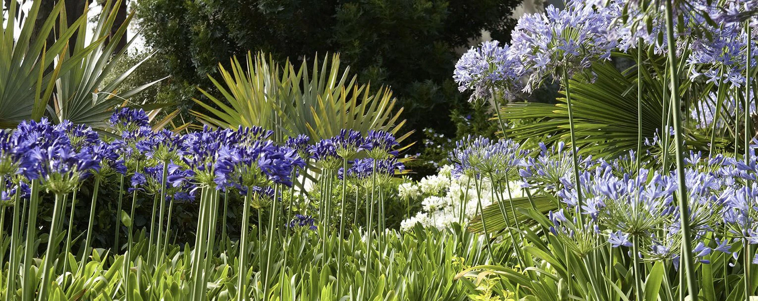 Delaire-Graff-Estate-Cape-Winelands-Stellenbosch-South-Africa-experience