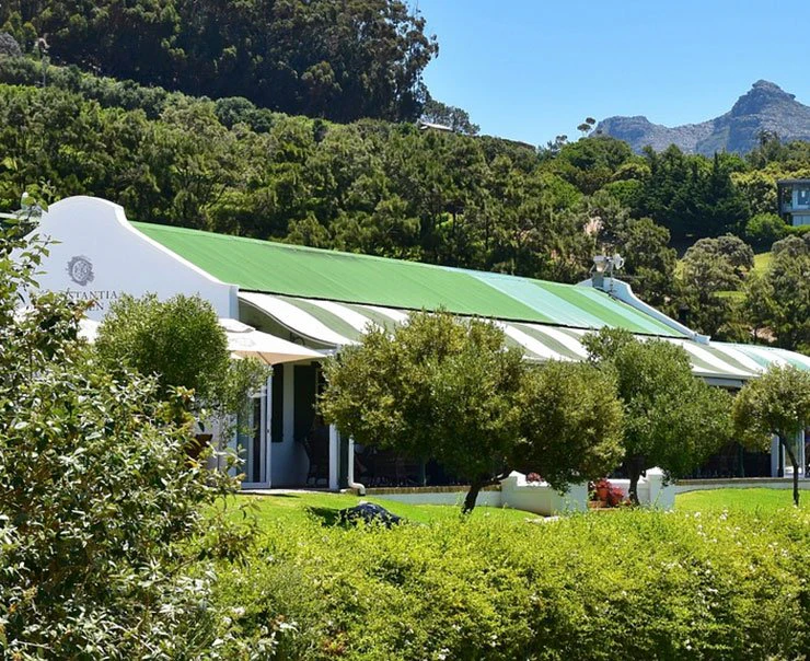 cape-town-experience-wine-tasting