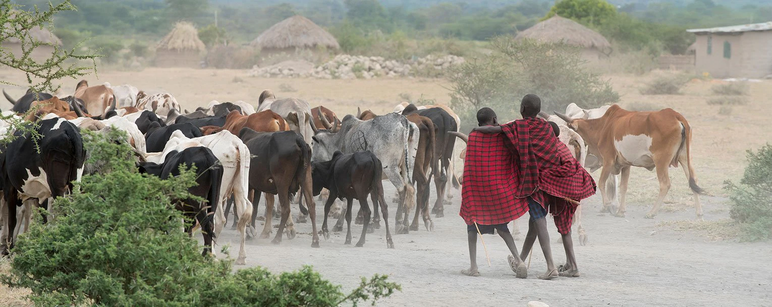 lake-manyara-experience-cultural-tours-rectangle
