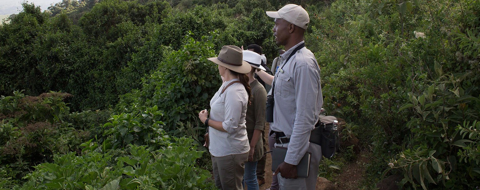 arusha-experience-hiking-rectangle