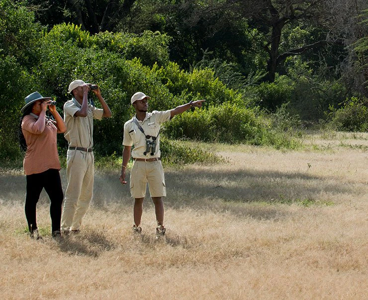 Tanzania-Lake-Manyara-experience-hiking-square