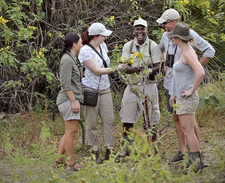roho-ya-selous-walking-safari-square