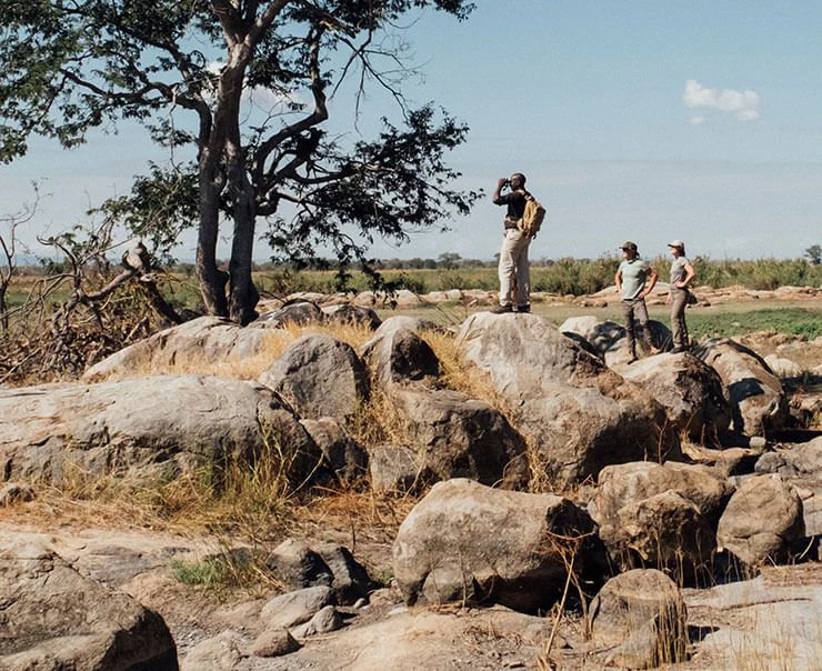 ruaha-experiences-walking-safari-square