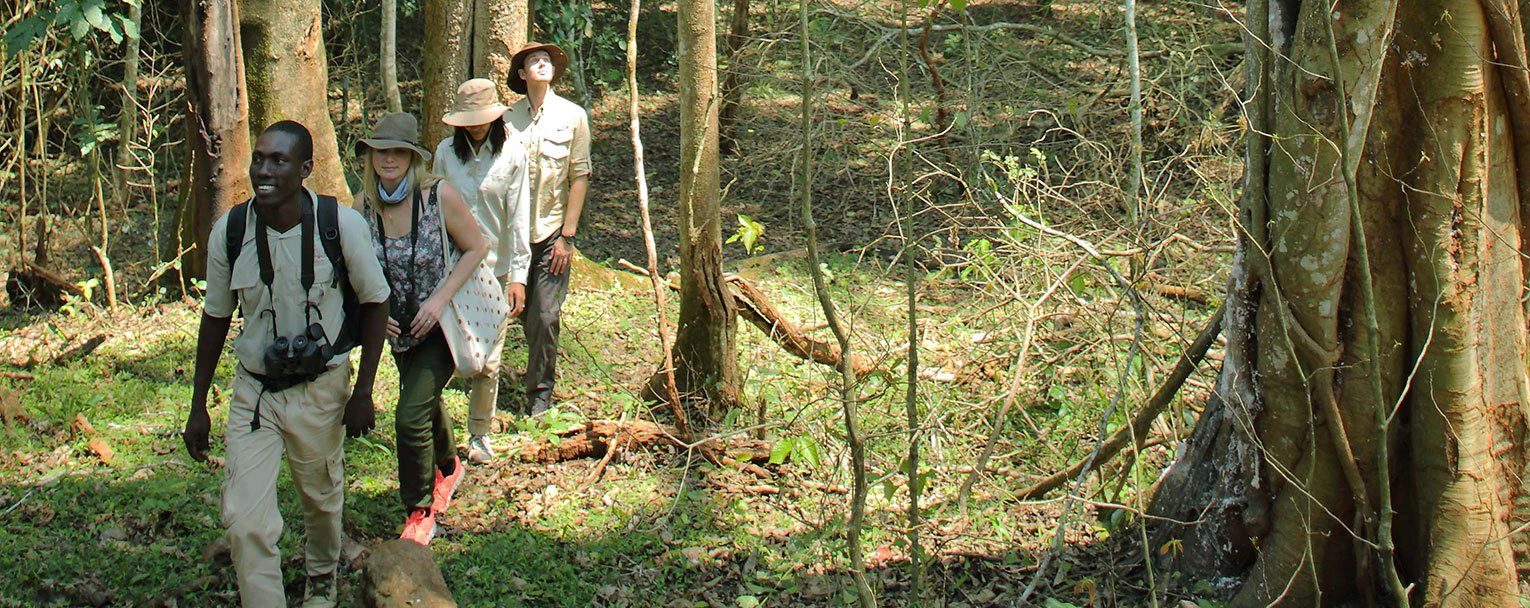 rubondo-experiences-walking-safari-rectangle