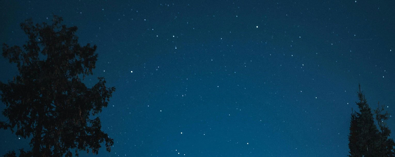 nyerere-experience-stargazing-rectangle