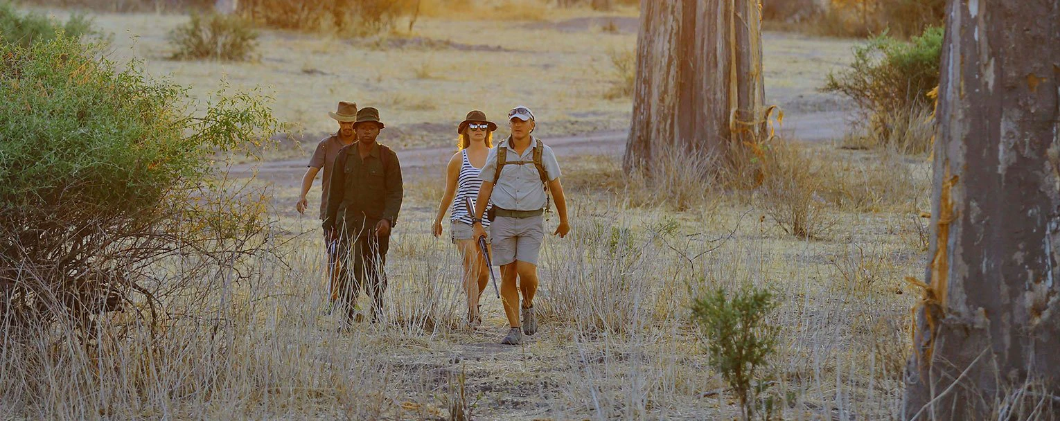arusha-experience-walking-safari-rectangle