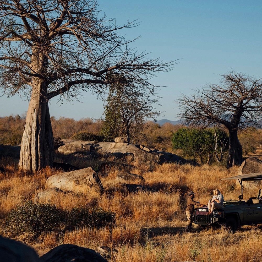 tanzania-ruaha-ttd-open-landscape-with-game-drive