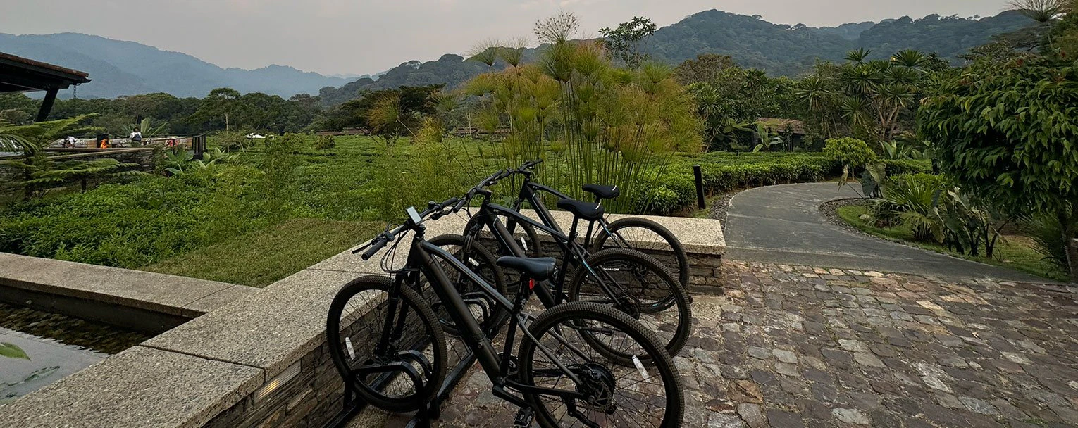 volcanoes-national-park-cycling-rectangle