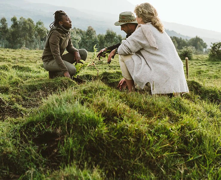 Singita-Volcanoes-National-Park-singita-experience-wildlife-conservation-square