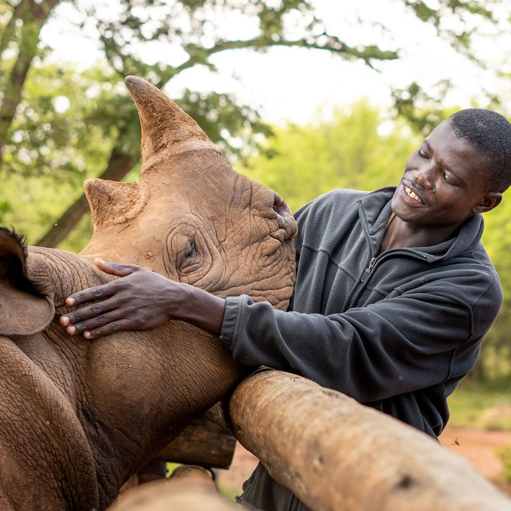 grumeti-ttd-return-of-the-rhino