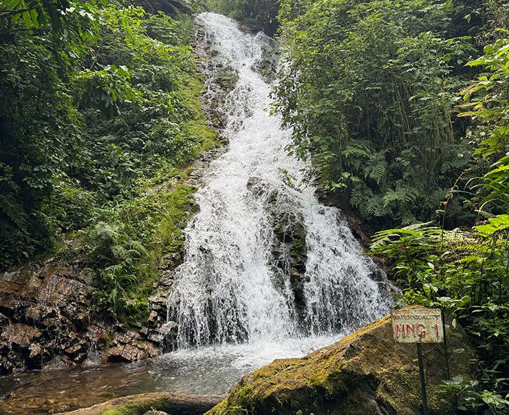 bwindi-volcanoes-bwindi-lodge-experiences-waterfall-walks-square