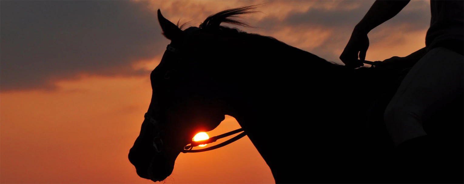 grumeti-experience-horseback-riding-image-rectangle