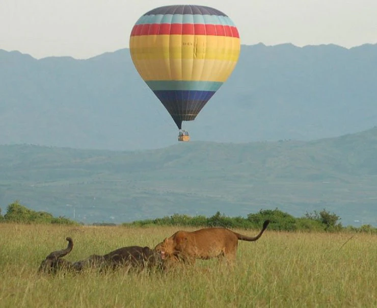 QENP-mweya-lodge-experience-image-hot-air-balon-safari-square