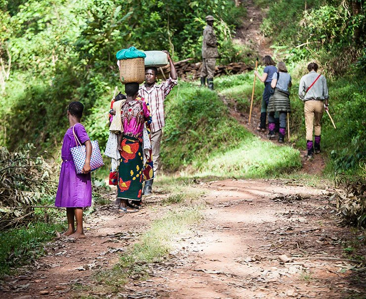 bwindi-volcanoes-bwindi-lodge-experiences-wildlife-conservation-square