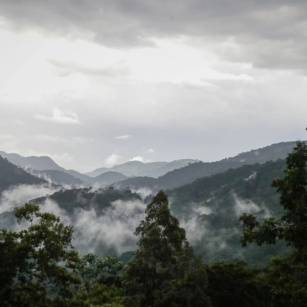 bwindi-impenetrable-forest-ttd-a-land-of-darkness